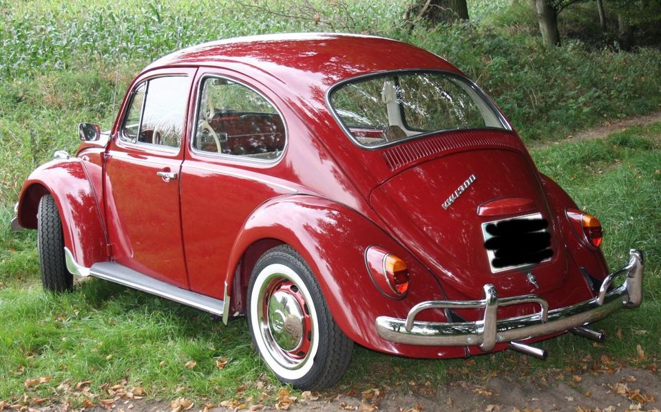 VW Käfer 1300 Baujahr 1968 Komplett restauriert in Neuenkirchen-Vörden