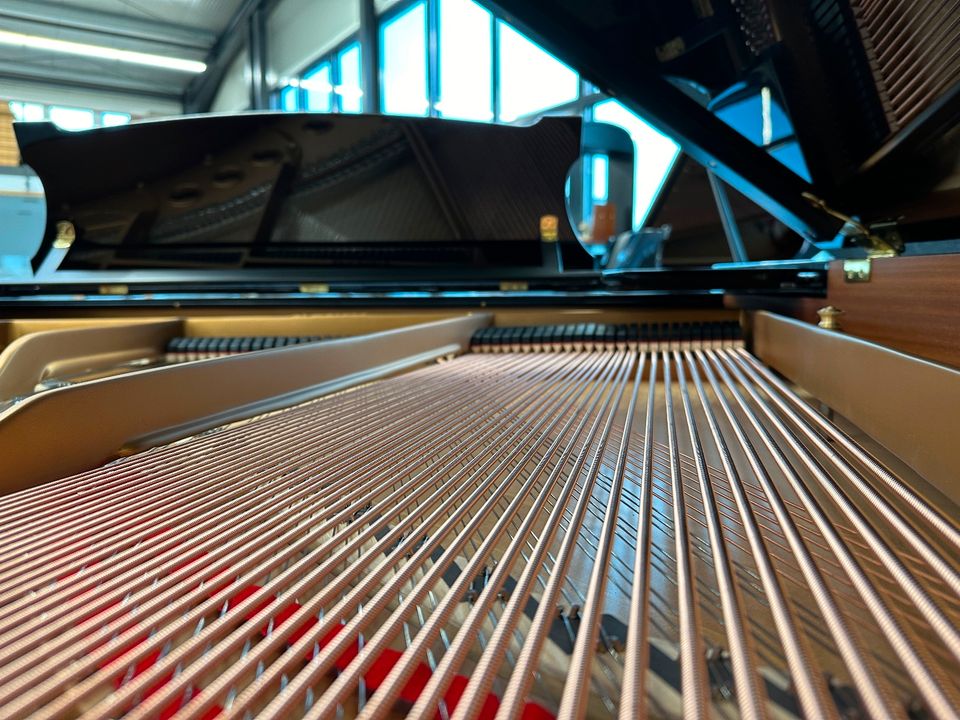 Steinway & Sons Flügel, Mod. S-155, Generalüberholt, 5 J.Garantie in Swisttal