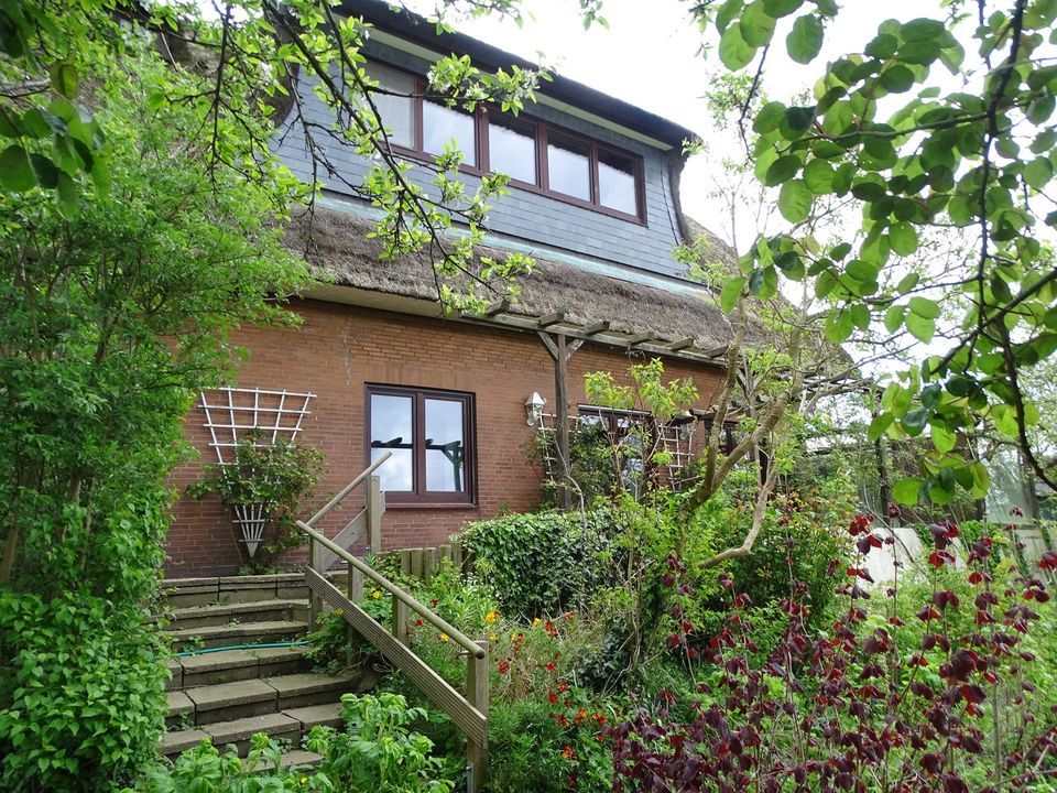 Reetdachhaus mit Blick auf die Elbe und Deichzugang in Glückstadt