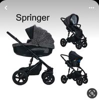 Kinderwagen Springer Nordrhein-Westfalen - Dorsten Vorschau