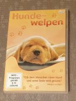 Dvd >>> Hunde Welpen Labrador, Hovawart weitere Nordrhein-Westfalen - Wickede (Ruhr) Vorschau