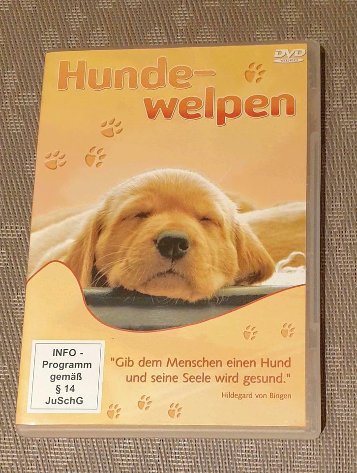 Dvd >>> Hunde Welpen Labrador, Hovawart weitere in Wickede (Ruhr)