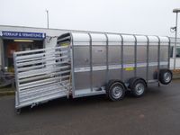 Ifor Williams TA 510 Easyload Schafdeck Doppeldeck 434x178x183cm 3,5 t Rheinland-Pfalz - Wittlich Vorschau