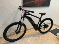 RockRider E-Bike 29 Zoll Rheinland-Pfalz - Großmaischeid Vorschau