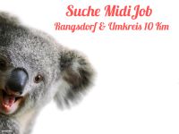 MidiJob in Rangsdorf & Umgebung gesucht Brandenburg - Rangsdorf Vorschau