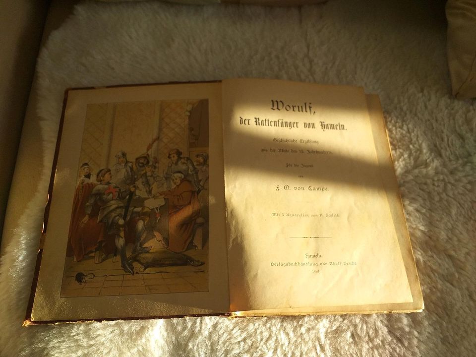 Antikes Buch 1881 Rattenfänger von Hameln in Grimma