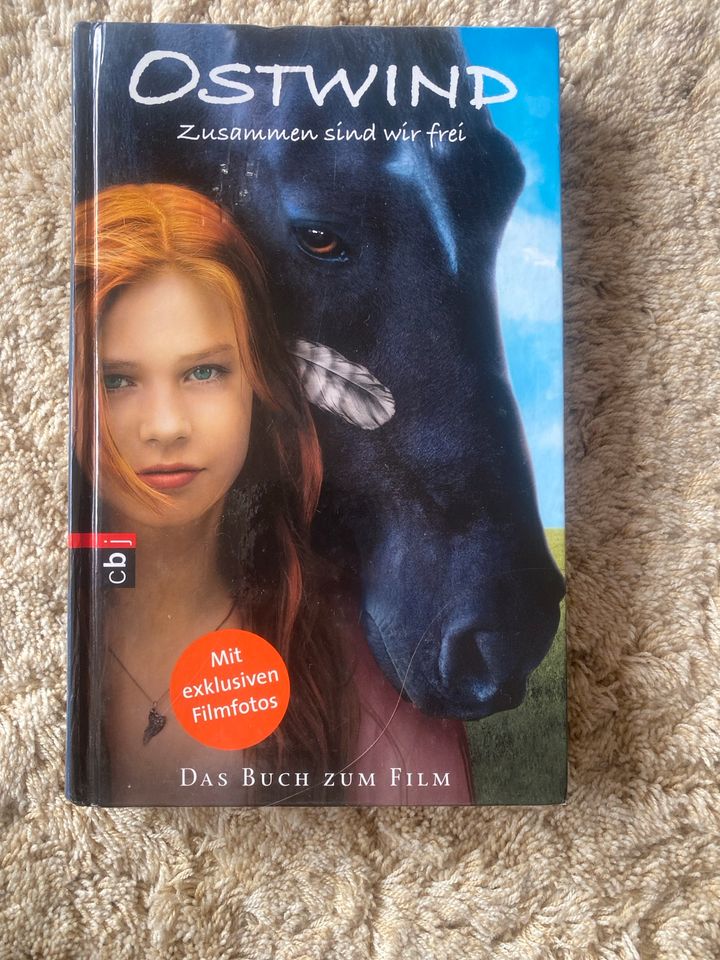Ostwind Bücher Pferdebuch in Ellwangen (Jagst)
