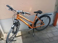 Triumph Cross  28 Zoll Damen Fahrrad Bayern - Offenberg Vorschau