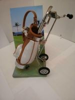 Desktop Golf Bag and Pen Set Golf Accessories General (Neuwertig) Rheinland-Pfalz - Wallmerod Vorschau