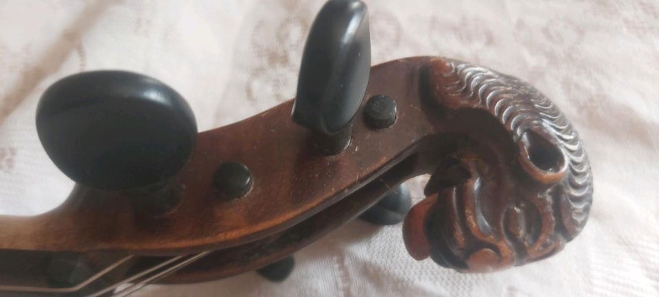 Alte geige löwenkopf Antike Instrument in Berlin
