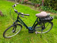 E-Bike,Hollandrad,Velo de Ville,VDV, E800-Premium, Herren, Damen Nordrhein-Westfalen - Nettetal Vorschau