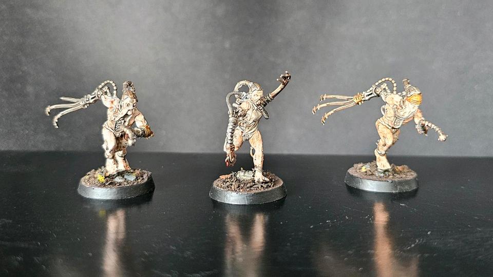 Warhammer 40k – Adeptus Sororitas Armee – 1000 Punkte in Stetten Pfalz