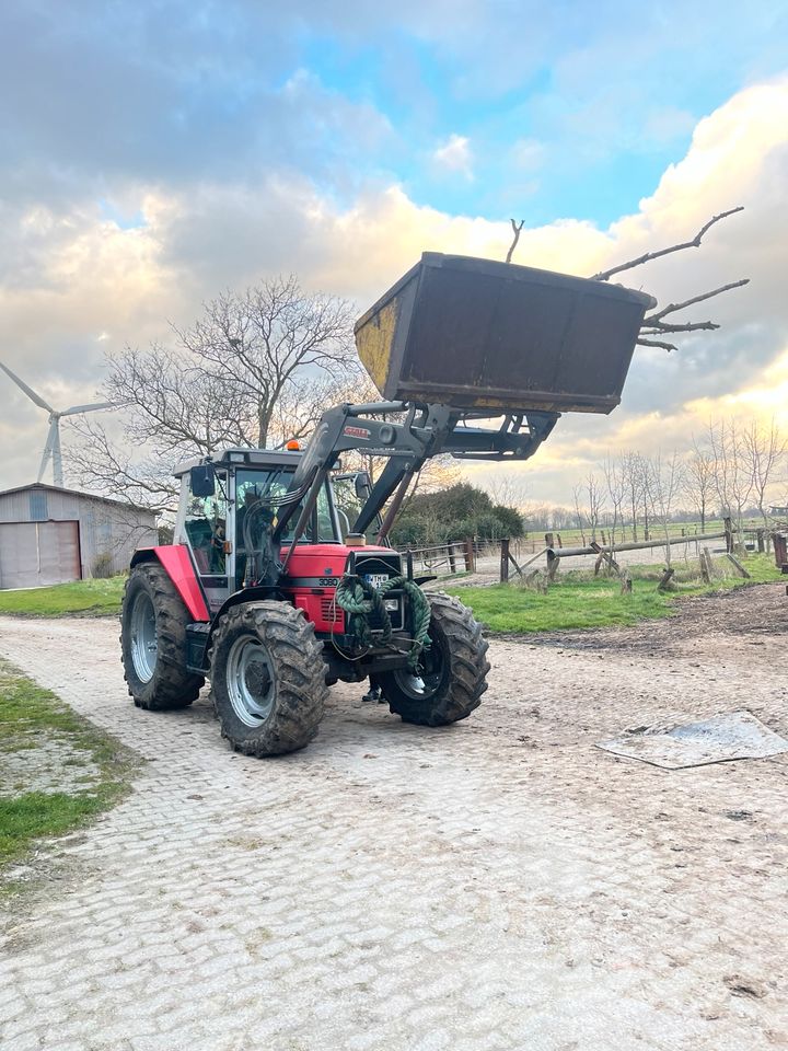 Schlepper zu vermieten in Westerholt