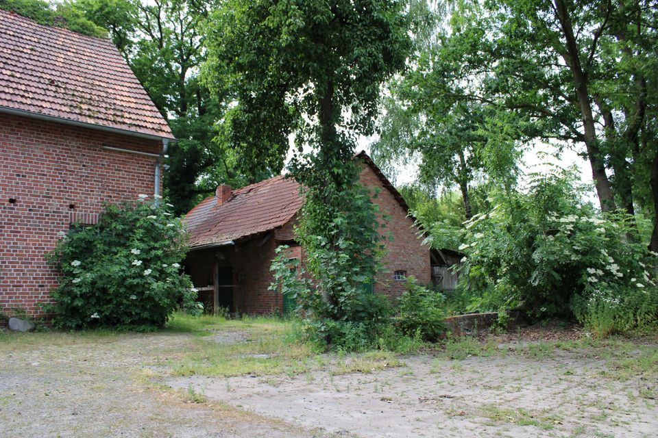 Mehrgenerationenhaus - Resthof mit großem Wohnhaus und Nebengebäuden in Bothel