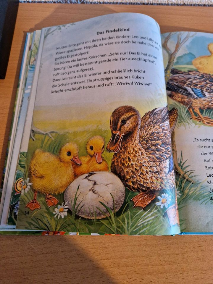 Buch "Die schönsten Tiergeschichten" in Oberstenfeld