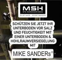 Mike sanders Unterbodenschutz Hohlraumkonservierungen Wohnmobil Herzogtum Lauenburg - Breitenfelde Vorschau