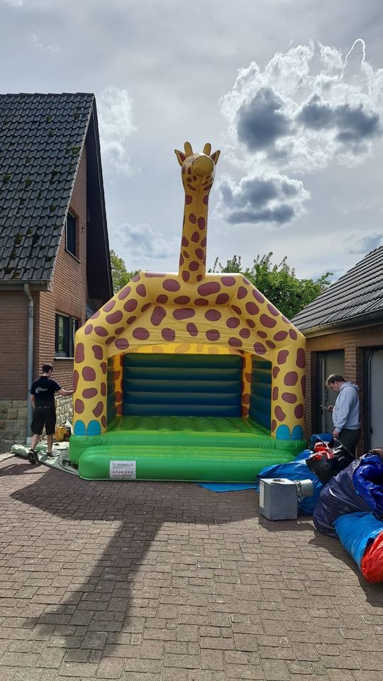 Mieten: Hüpfburg Giraffe 5x5m in Wetzlar
