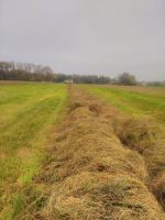 Grassilage Silage Quaderballen gute Qualität 150 Stück Nordrhein-Westfalen - Bottrop Vorschau