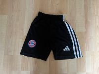 FC Bayern Shorts Rheinland-Pfalz - Germersheim Vorschau