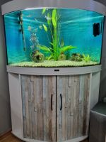 Aquarium Juwel 190L Altona - Hamburg Lurup Vorschau