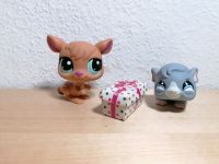 LPS Littlest Pet Shop Känguru und Hamster mit Accessoire Berlin - Marienfelde Vorschau