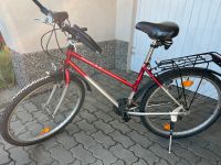 Damen -Fahrrad Sachsen - Seifhennersdorf Vorschau