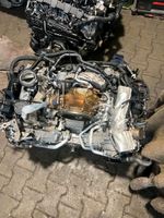 Motor Audi 3.0 TFSI A6 A7 SQ5 CWG CWGB CZS 354PS KOMPLETT Berlin - Tempelhof Vorschau