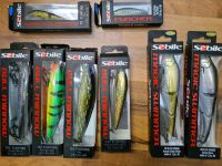 Sebile Magic Swimmer Wobbler Swimbait Puncher Swingtail Minnow Bayern - Lindau Vorschau