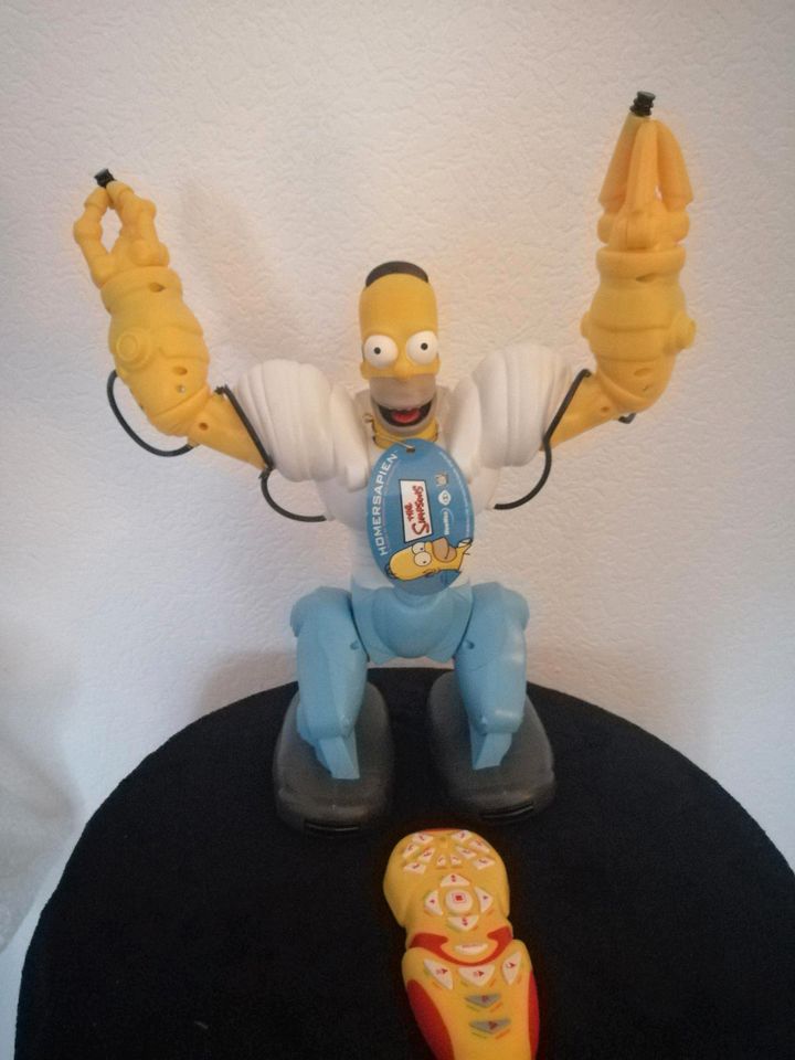 homer simpson homersapien robosapien rc mit Fernbedienung in Katzwinkel (Sieg)