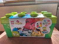 Lego duplo Brick Box 10913 NEU Bayern - Donauwörth Vorschau