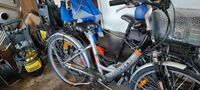 Elektro Fahrrad Nordrhein-Westfalen - Rahden Vorschau