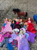 Barbies zu Verkaufen Schleswig-Holstein - Nortorf Vorschau