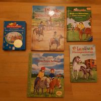 5 Bücher Pferde, Leseanfänger, Leserabe, Leselöwe Hessen - Offenbach Vorschau