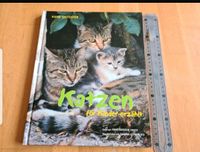 Buch Katzen für Kinder erzählt Aachen - Aachen-Haaren Vorschau