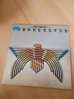 Thunderbyrd Roger McGuinn Vinyl Schallplatte Hessen - Lollar Vorschau