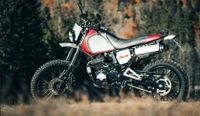 Honda Dominator NX 650  RD02 Scrambler Umbau / inkl. 2. Radsatz Niedersachsen - Müden Vorschau