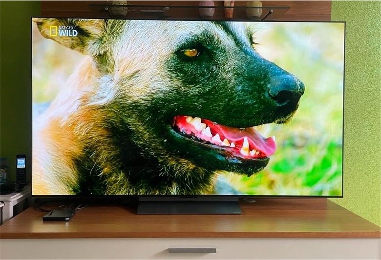 LG OLED evo 65 C39LC in Freystadt