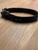 Petlando Halsband Hund Hundehalsband - Umfang 36cm Bayern - Senden Vorschau