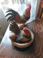 Huhn gockel Nest Hühner künstlich Nordrhein-Westfalen - Alfter Vorschau