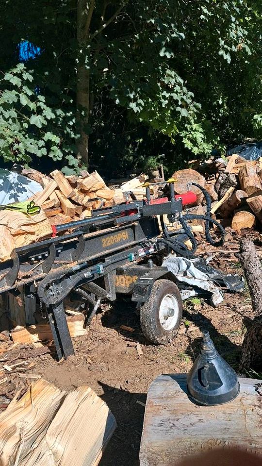 Entrümpelungen/Rasen mähen/Holz spalten/sägen/Heckenschnitt in Zethau