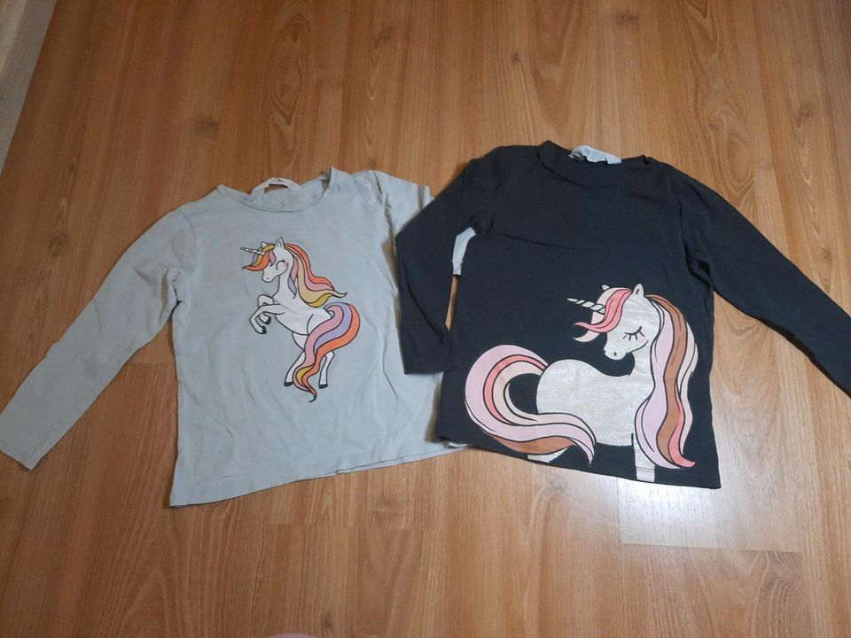 2 Langarmshirts Shirts Einhorn Gr. 110/116 von H&M in Leipzig