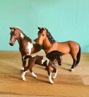 Schleich Trakehner Hengst Stute Fohlen Nürnberg (Mittelfr) - Aussenstadt-Sued Vorschau