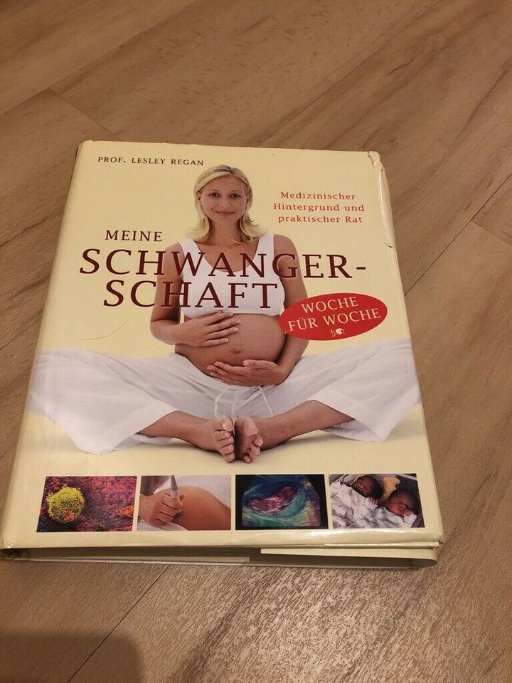 Buch „Meine Schwangerschaft“ gut erhalten in Iserlohn