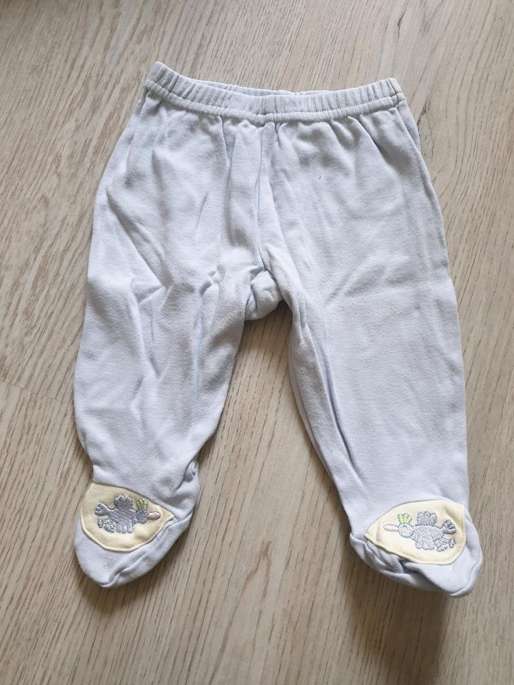 Hosen, Jeans, Stoffhose mit Mütze, Cordhose Gr. 56, Baby Club in Landshut