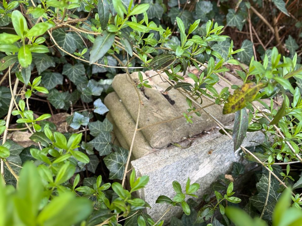 Steine Gartensteine Baustoffe Kalkstein Randstein Terassenplatte in Altenmedingen