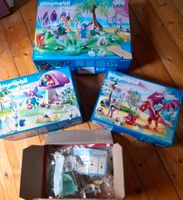 Playmobil: Fairies- Konvolut,8 Sets, inkl.vers.Versand Schleswig-Holstein - Norderstapel Vorschau