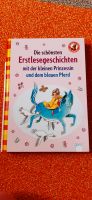 Erstlesegeschichten mit der kleinen Prinzessin u.dem blauen Pferd Thüringen - Bad Lobenstein Vorschau