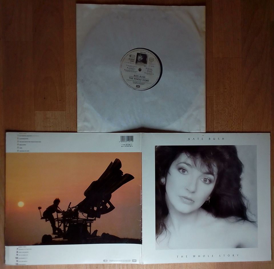 KATE BUSH Vinyl THE WHOLE STORY Schallplatte LP Hounds of Love in Holzdorf