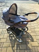 Kinderwagen (Mutsy) Babyschale und Sportwagensitz Nordrhein-Westfalen - Bad Sassendorf Vorschau