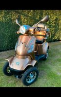 E-scooter und PKW Anhänger Nordvorpommern - Landkreis - Franzburg Vorschau